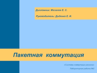 Пакетная коммутация. Системы коммутации региона