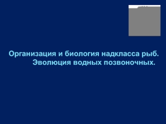 Организация и биология надкласса рыб. Эволюция водных позвоночных