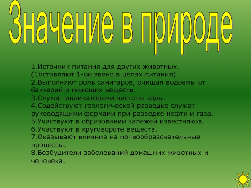 Презентация значение животных в природе и жизни человека