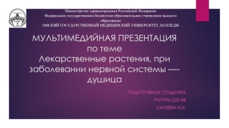 Лекарственные растения, при заболевании нервной системы —- душица