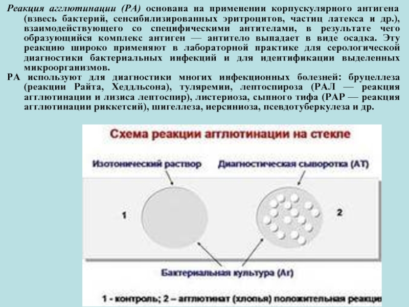 Реакция агглютинации фото