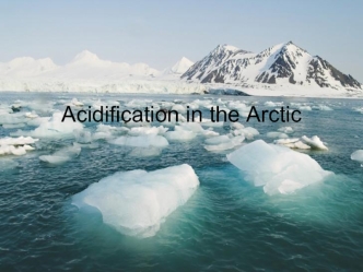 Acidification in the Arctic