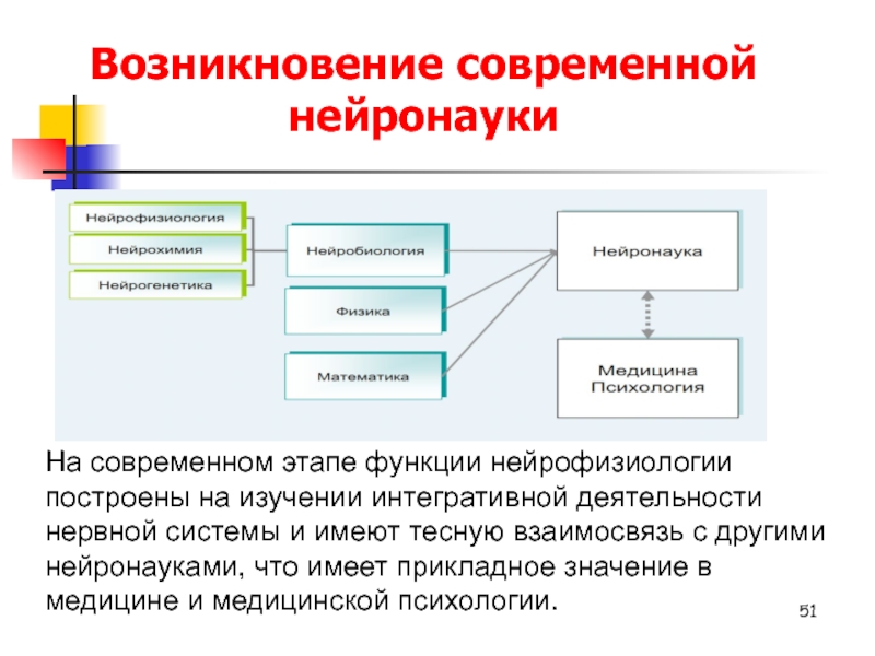 Нейрофизиология курсы