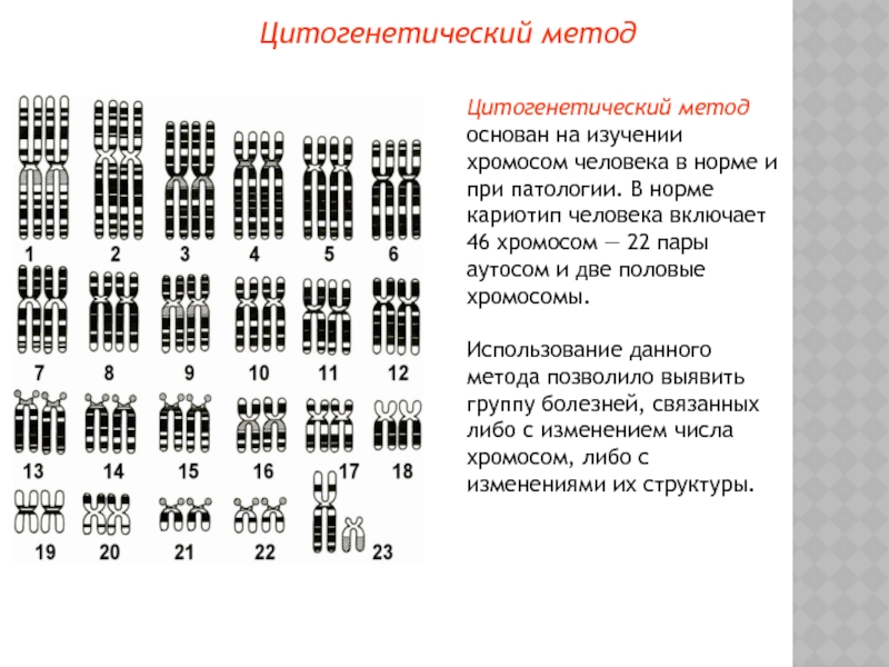Кариотип норма. Кариотип человека в норме и при патологии. Кариотип человека в норме и при патологии примеры. Цитогенетический метод основан на изучении. Цитогенетический метод патологии.