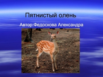 Пятнистый олень
