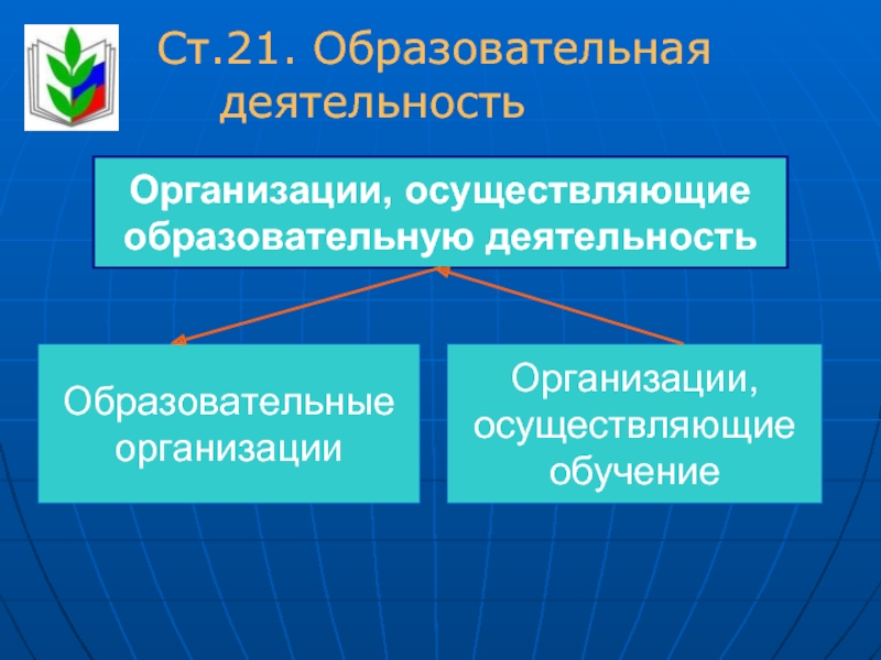 Деятельность организаций осуществляющих обучение