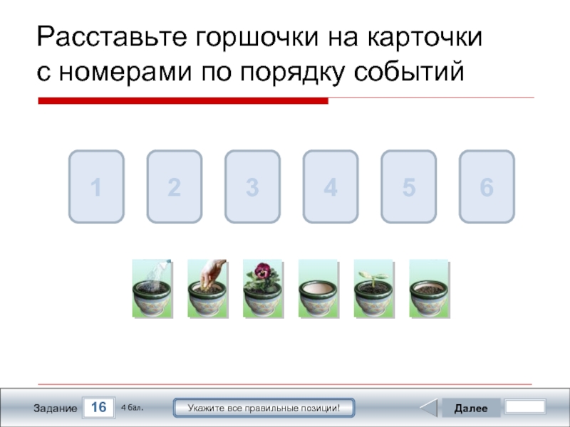 Восстанови порядок событий расставь фотографии по порядку