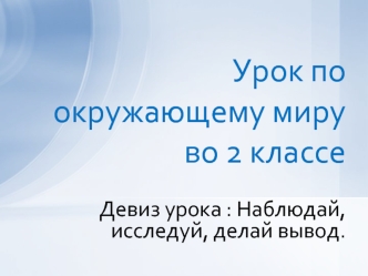 Урок по окружающему миру во 2 классе
