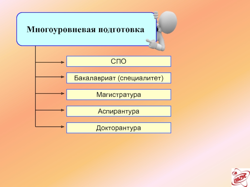 Бакалавриат магистратура аспирантура