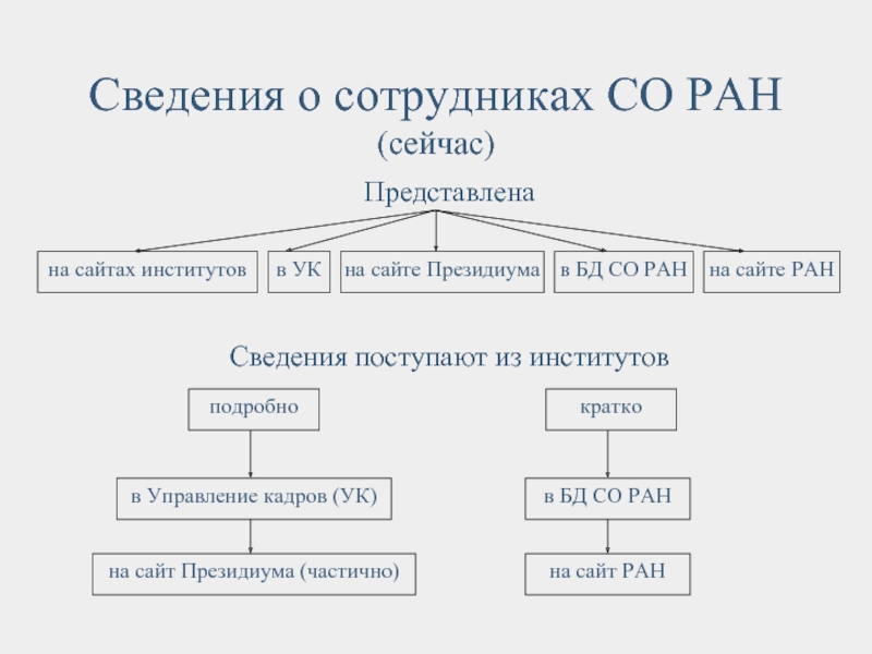 Не представлены сведения