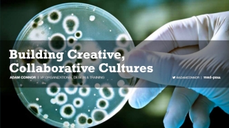 Building Creative, Collaborative Cultures