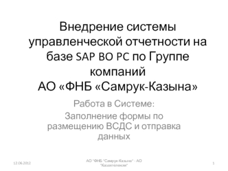 Внедрение системы управленческой отчетности на базе SAP BO PC по Группе компаний АО ФНБ Самрук-Казына