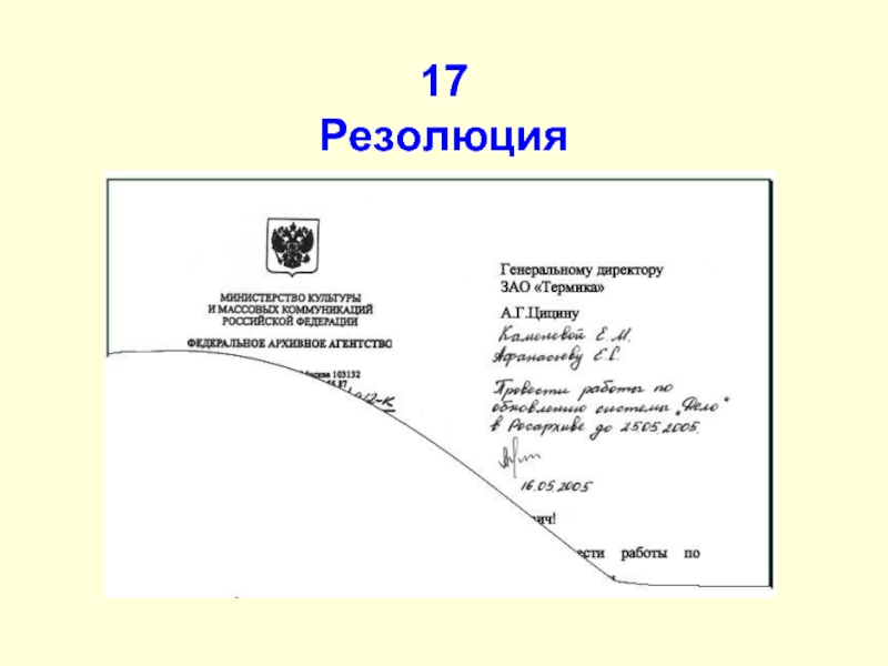 Образец резолюции директора