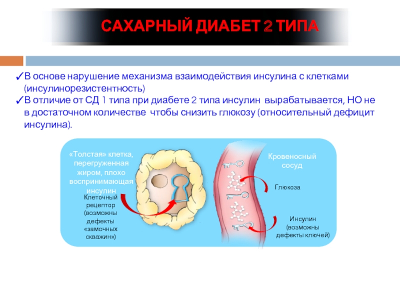 Диабет 2 типа что это. Сахарный диабет 2 типа инсулинорезистентность. Сахарный диабет 1 и 2 типы4. Сахарный диабет 2 типа механизм инсулинорезистентности. Сахарный ДИАБН инсулина 2типа.