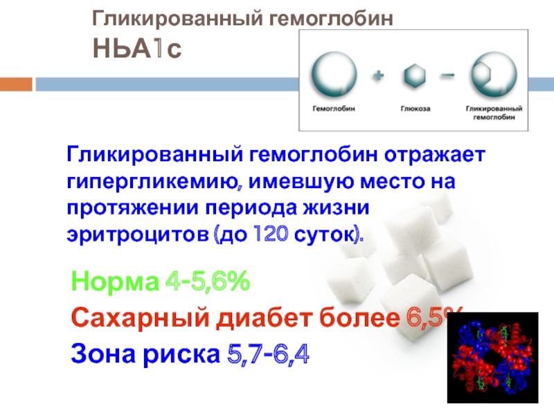 Гликированный гемоглобин у беременных 3 триместр