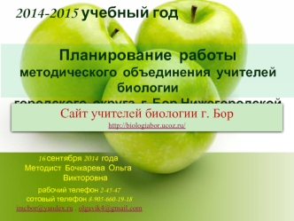 Планирование  работы
методического  объединения  учителей  биологии 
городского  округа  г. Бор Нижегородской  области