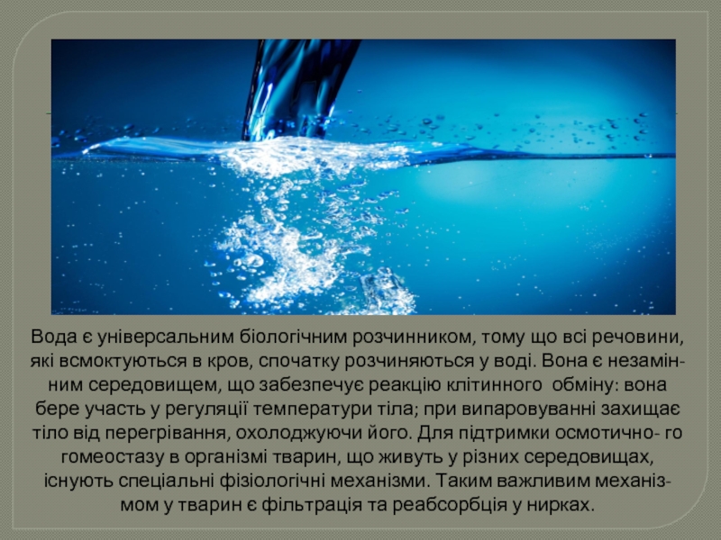 Вода є універсальним біологічним розчинником, тому що всі речовини, які всмоктуються