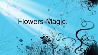 Flowers-Magic. Магазин 