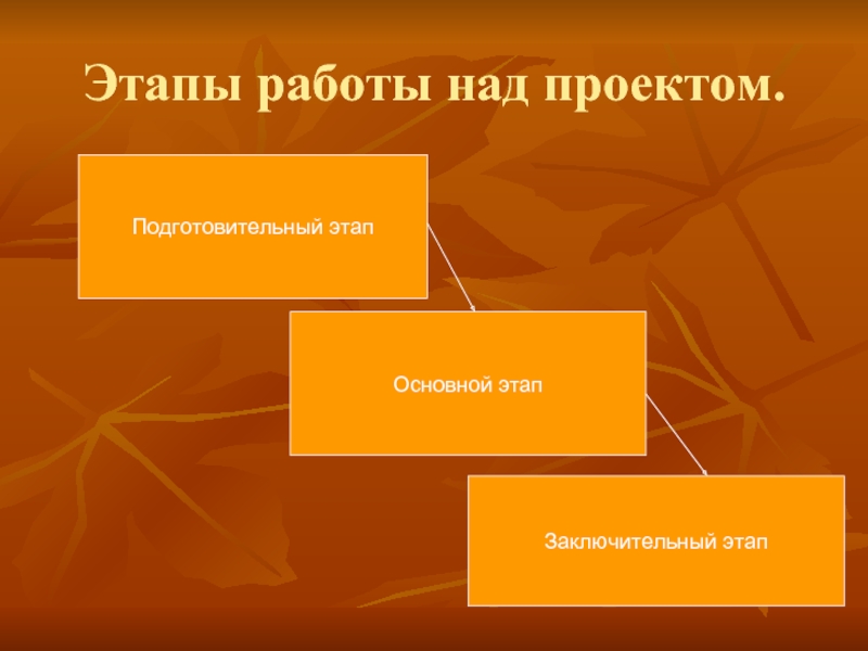 Этап работы над проектом подготовительный этап