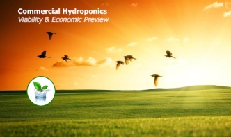 Commercial Hydroponics
Viability & Economic Preview