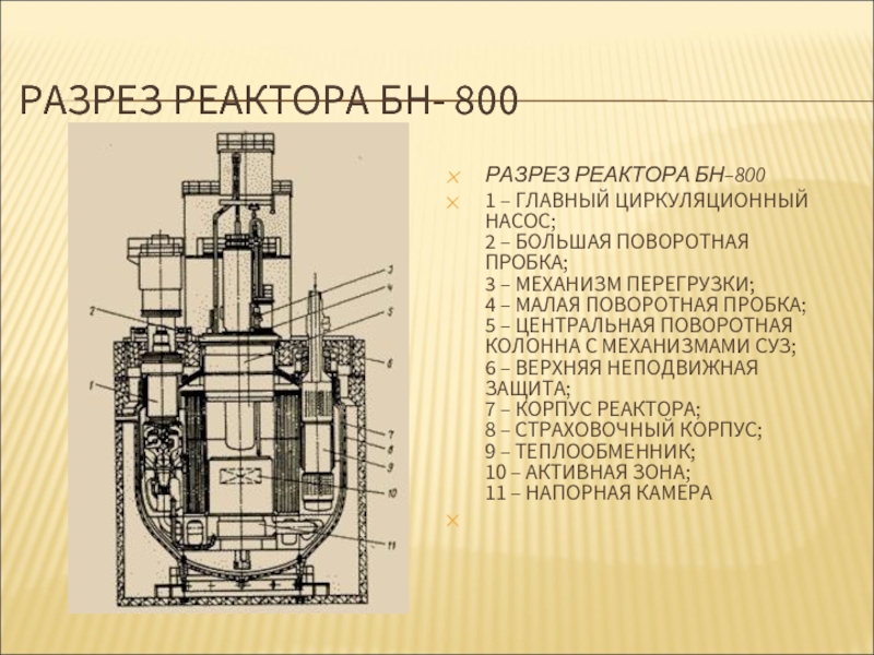 Назовите основные части реактора. Главный насос реактора БН 600. БН-800 реактор. ТВС реактора БН-800. ТВС реактора БН-600.
