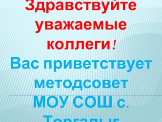 Здравствуйте уважаемые коллеги!
Вас приветствует методсовет 
МОУ СОШ с. Торгалыг