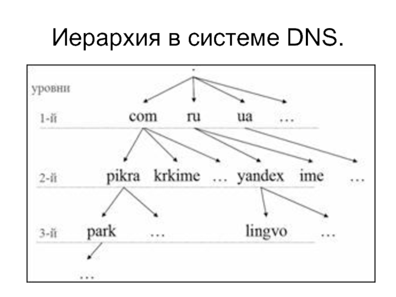 Иерархия в системе DNS.