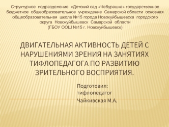 Двигательная активность детей с нарушениями зрения на занятиях тифлопедагога по развитию зрительного восприятия.