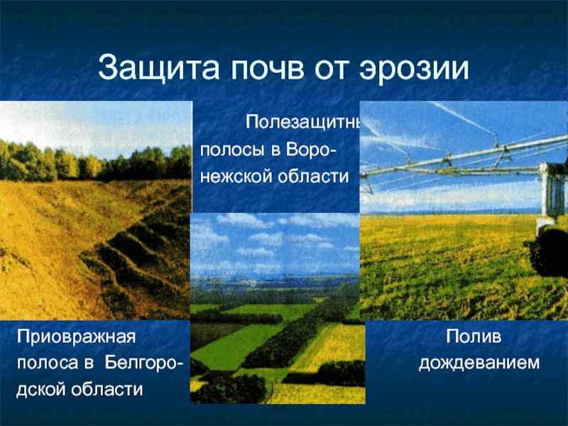 Для защиты почвы на полях необходимо. Защита почвы. Охрана земель и меры по защите почв. Способы защиты почвы. Охрана почв от эрозии.