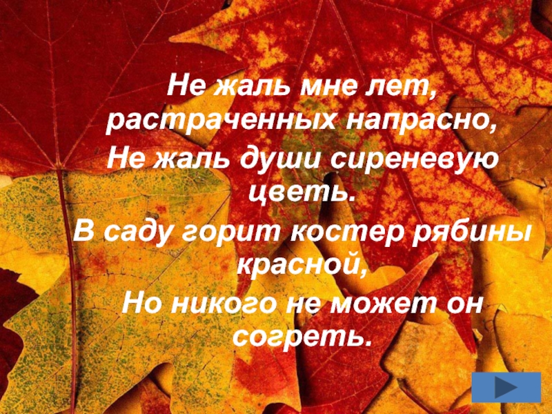 Есенин не напрасно. Не жаль мне лет растраченных напрасно не жаль души сиреневую цветь. Не жаль мне лет потраченных напрасно. В саду горит костер рябины красной но никого не может он согреть. Есенин в саду горит костер рябины красной.