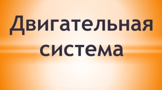 Двигательная система