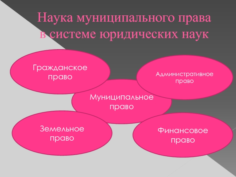 Муниципальное право как отрасль права презентация