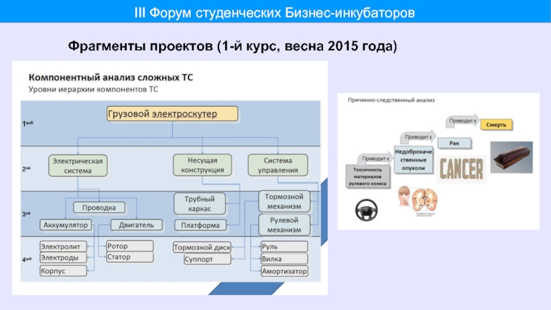 Аси поддержка проектов