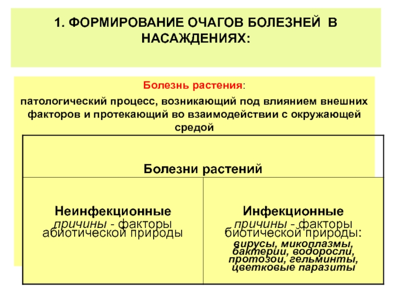 Факторы и условия развития заболевания. Патологический процесс в больном растении.. Неинфекционные болезни растений. Типы развития очагов. Формированию очаговых признаков способствует:.