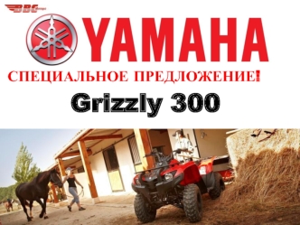 Grizzly 300