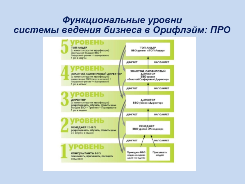 Система уровней. Функциональный уровень системы. Организационная структура «Oriflame». Цель на бизнес в Орифлэйм. Структура компании Oriflame.