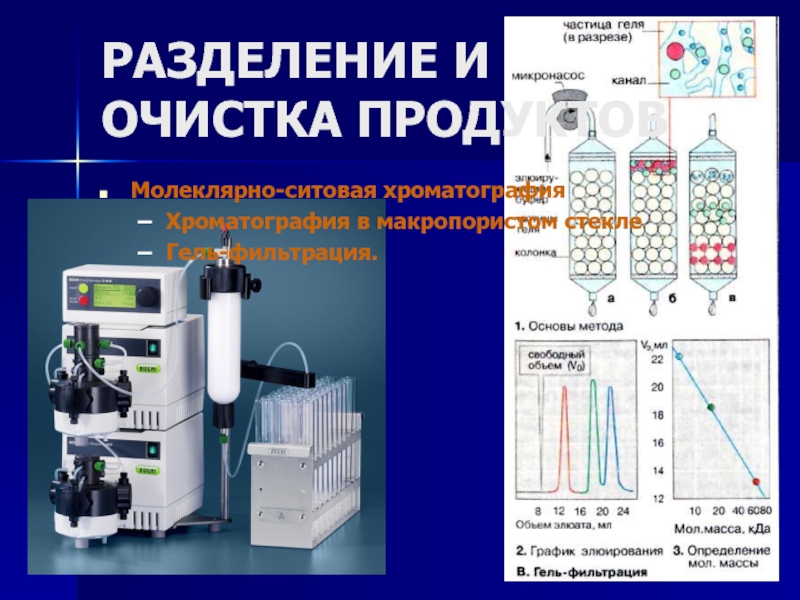 Метод гель фильтрации