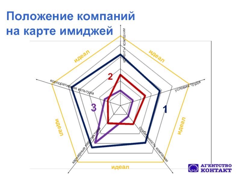 12 положений