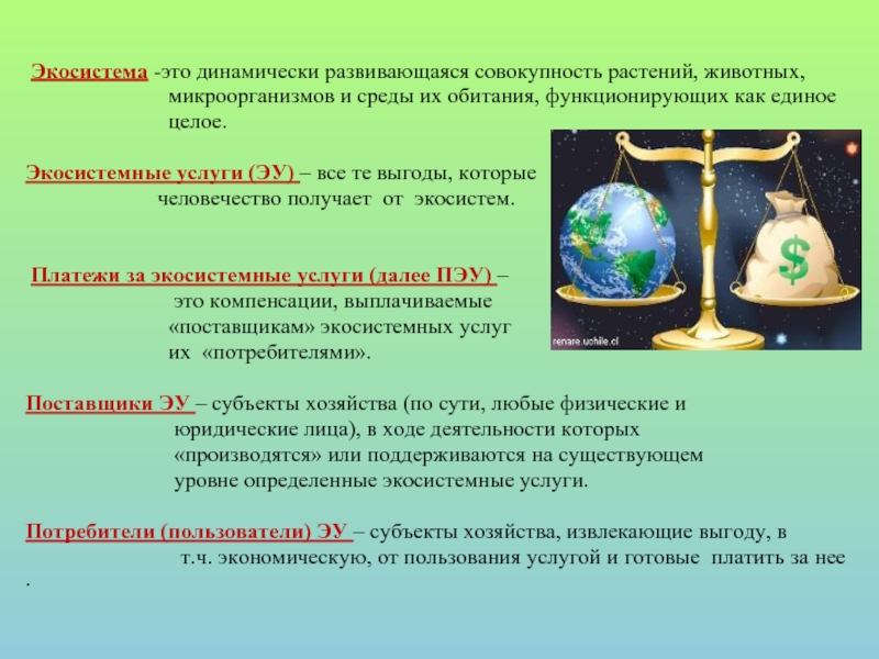 Экосистемные услуги это. Экосистемные услуги. Регулирующие экосистемные услуги. Экономическая оценка экосистемных услуг. Классификация экосистемных услуг.