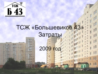 ТСЖ Большевиков 43Затраты2009 год