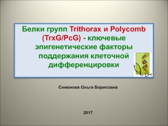 Белки групп Trithorax и Polycomb (TrxG/PcG) - ключевые эпигенетические факторы поддержания клеточной дифференцировки