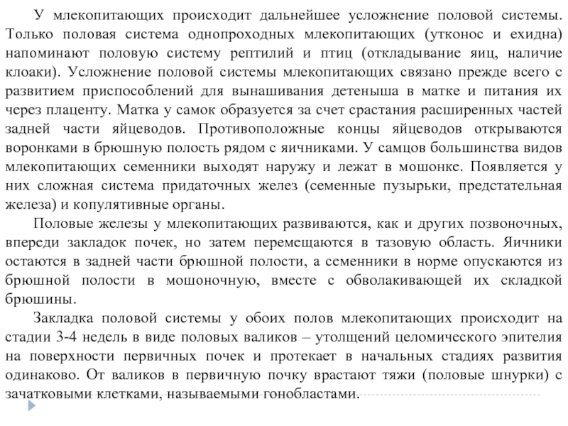 Что в дальнейшем происходит. Учение а.н. Северцова о филэмбриогенезах.. Учение а.н. Северцева о филэмбриогенезах.. Учение Северцова о филэмбриогенезах реферат.