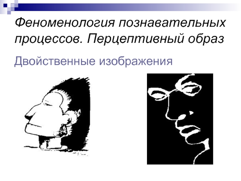 Смена образов при восприятии двойственных изображений связана с законом взаимной