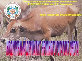 Нодулярный дерматит