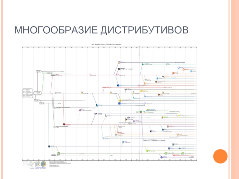 МНОГООБРАЗИЕ ДИСТРИБУТИВОВ