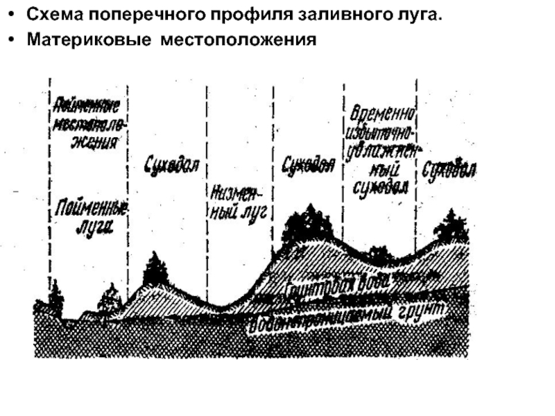 Схема поперечного профиля заливного луга. Материковые местоположения