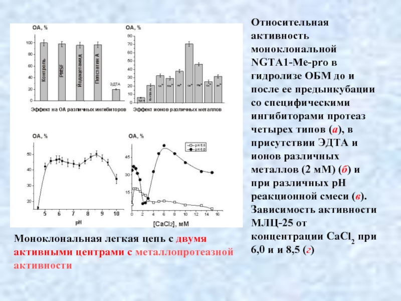 Относительная активность моноклональной NGTA1-Me-pro в гидролизе ОБМ до и после ее