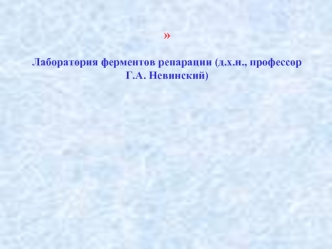 Основные функции селезёнки. Лимфатические узлы