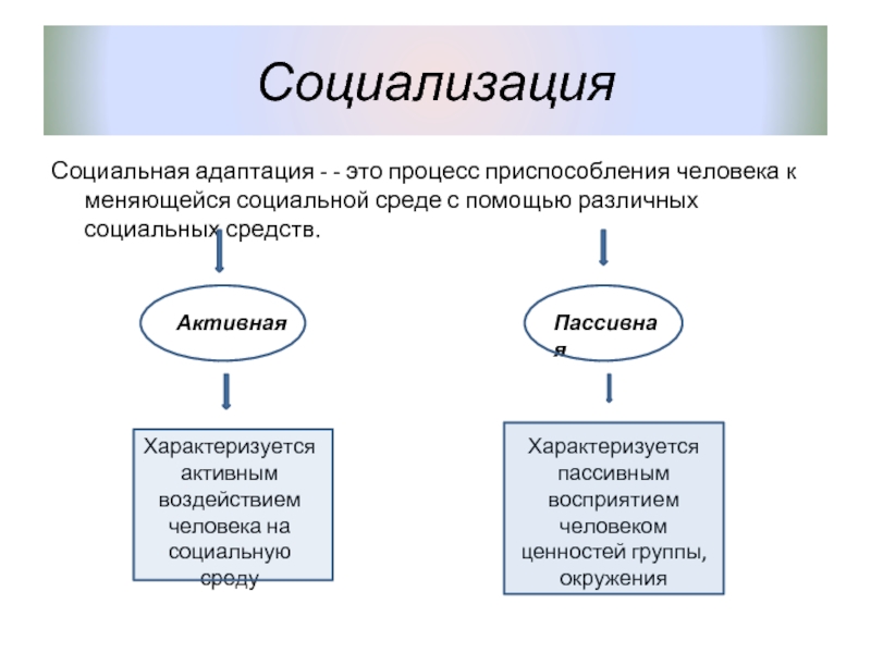 Социальная социализация