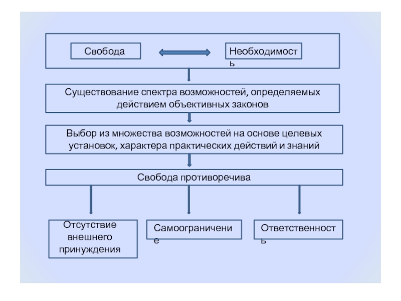 Свобода как условие самореализации личности